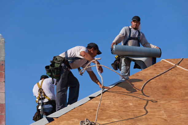 Best Local Roofing Companies  in Marshfield, WI